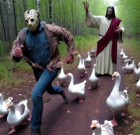 Trail Cam Footage