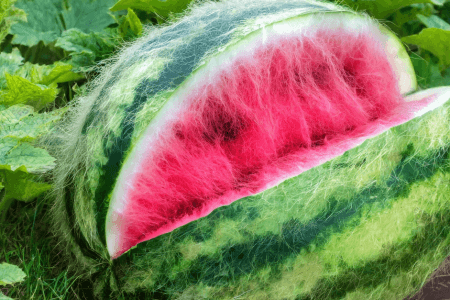 AI-Generated Images That Paint People and Things in a New Light