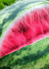 AI-Generated Images That Paint People and Things in a New Light