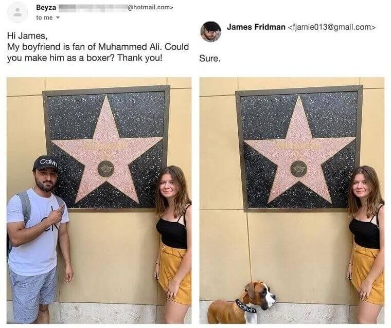 Float Like A Butterfly, Bark Like A Boxer