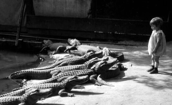 11 Fascinating Historical Photos That Most People Have Never Seen Before