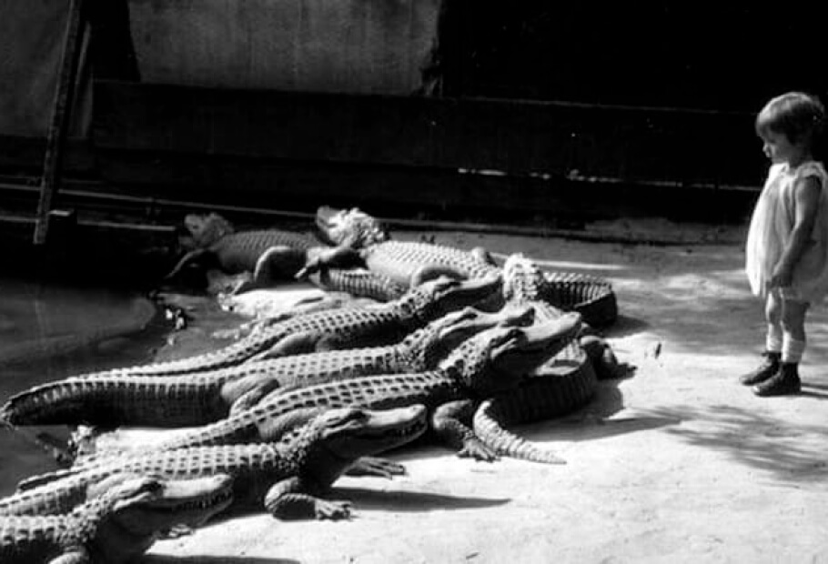 11 Fascinating Historical Photos That Most People Have Never Seen Before