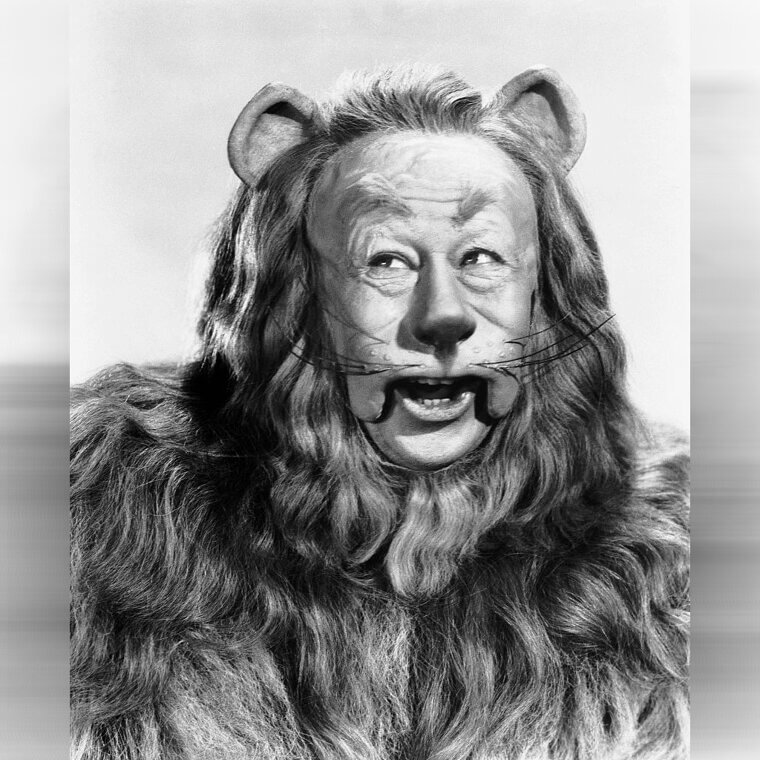 The Lion Costume Was Made From Real Fur