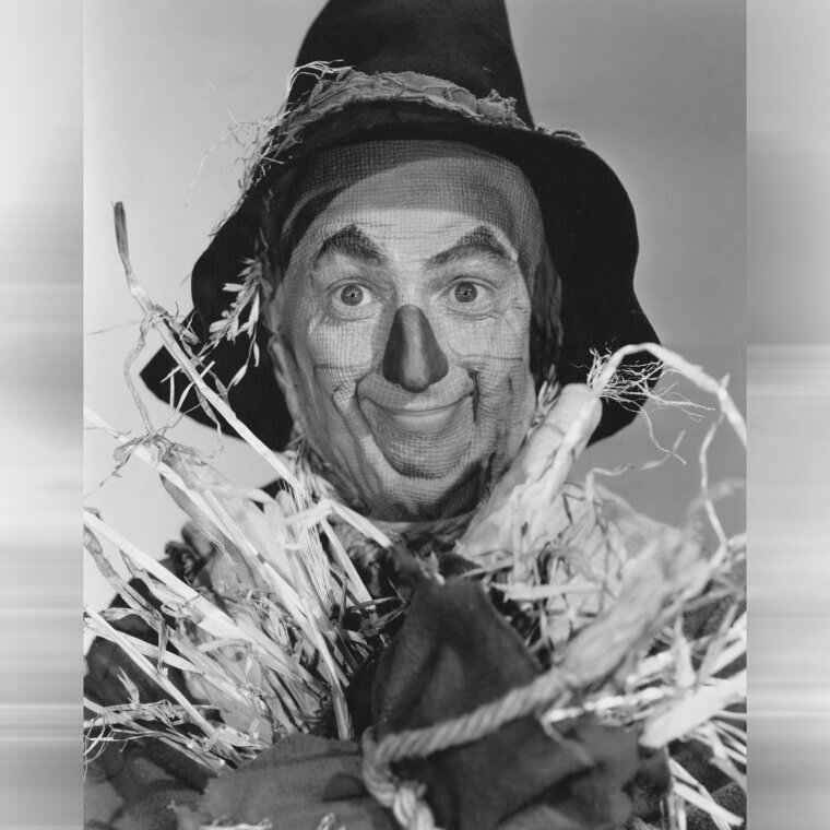 The Scarecrow Outfit Left Permanent Scars