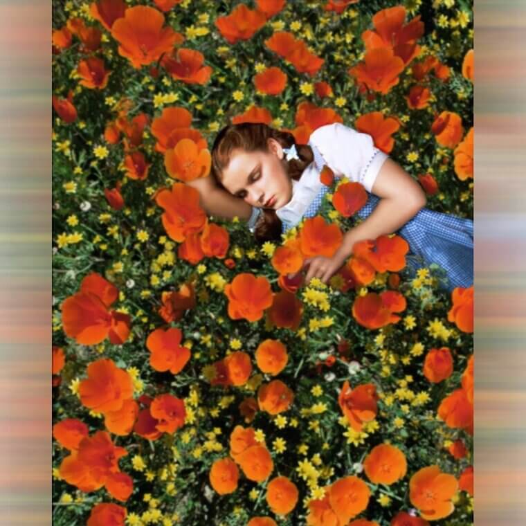 The Special Effects Were Revolutionary