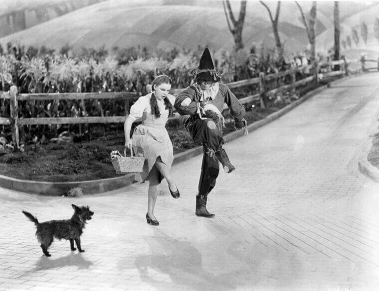 Toto Was a Trained Animal Actor