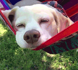 Rest Isn't Laziness — It's Medicine