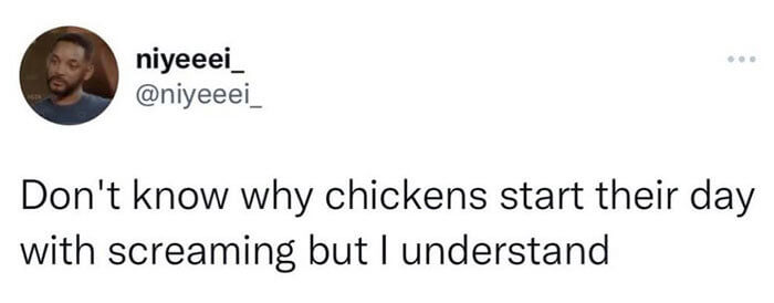 Perhaps We Resemble Chickens More Than We Think
