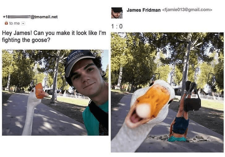 Goose 1 : Guy With a Silly Hat 0