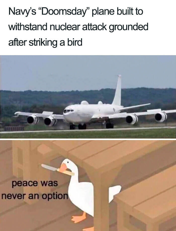 Tchau Tchau Passarinho