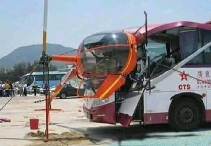 Um Inseto Peculiar No Pára-Brisa