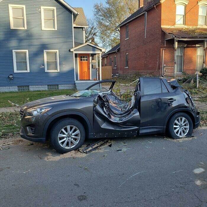 As Árvores Também Ficam Com Raiva