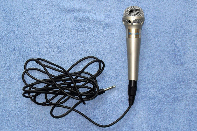 The Mr. Microphone: Singing Your Way Through the Kitchen