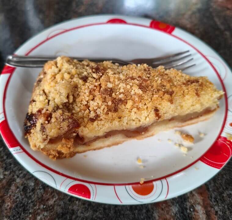 The Flying Saucer Pie Maker: The Toasted Torture Chamber