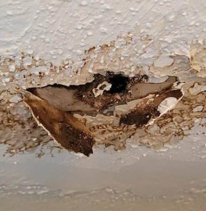 Landlord Would Rather Kick Out Tenants Than Fix a Leaking Ceiling