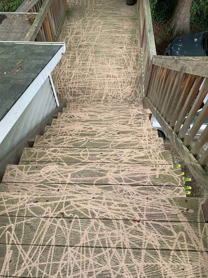 This Landlord Is the Michelangelo of Pressure Washing