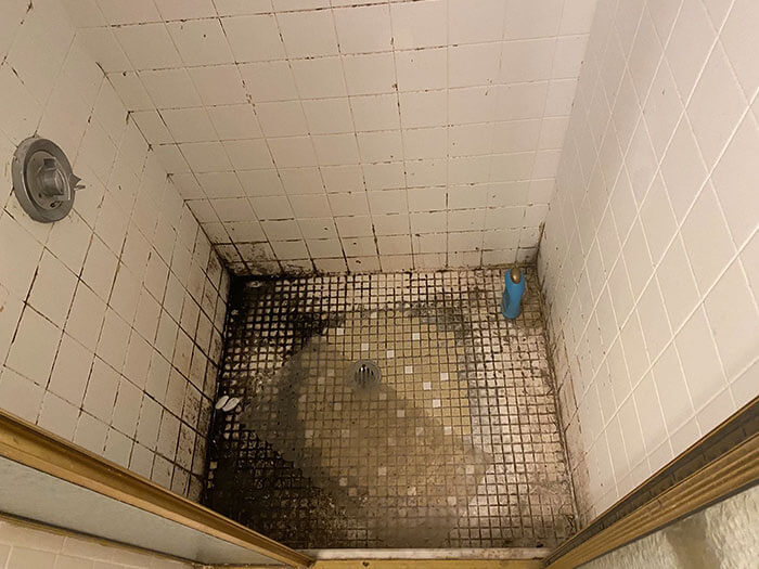 This Bathroom Looks Professionally Cleaned by Raccoons