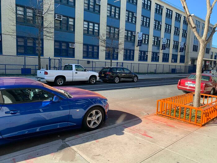 Landlord's Attempt at Tree Makeover Leads to Car Disaster