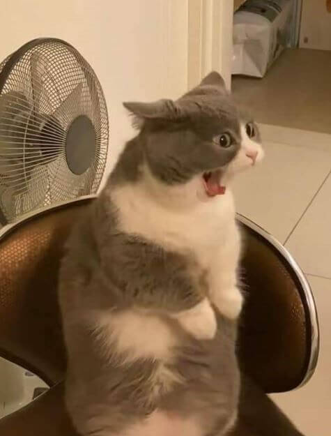 Weird Sounds Can Point To Underlying Issues