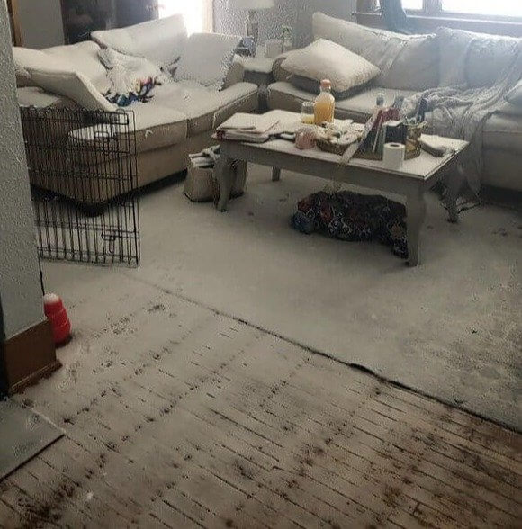 Tu n'as jamais pensé que tu pouvais déblayer la neige dans ton salon.