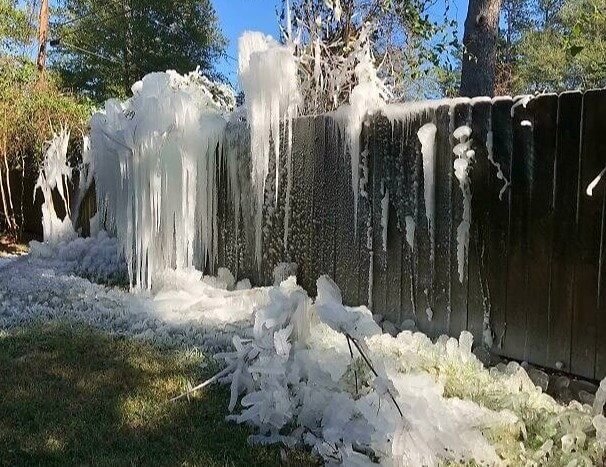 Ne te laisse pas tromper par les arbres verts, les températures sont inférieures au point de congélation.