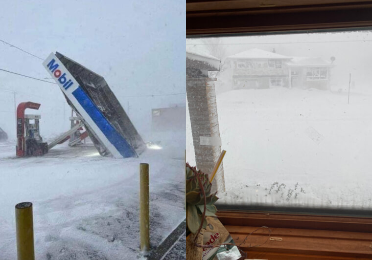 Vent et gel, la pire des combinaisons