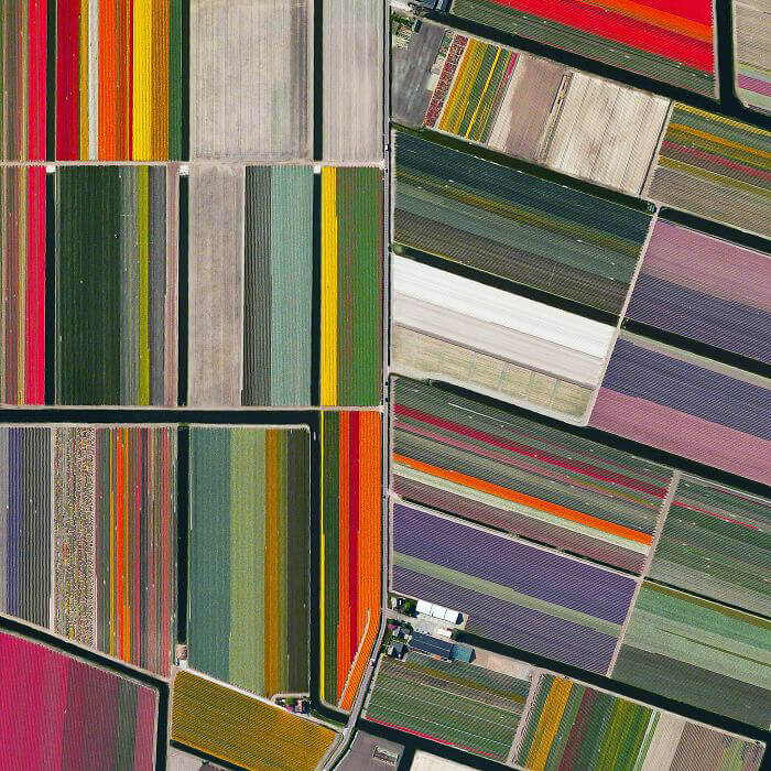 Who Knew Flower Fields Were Even Prettier From Above