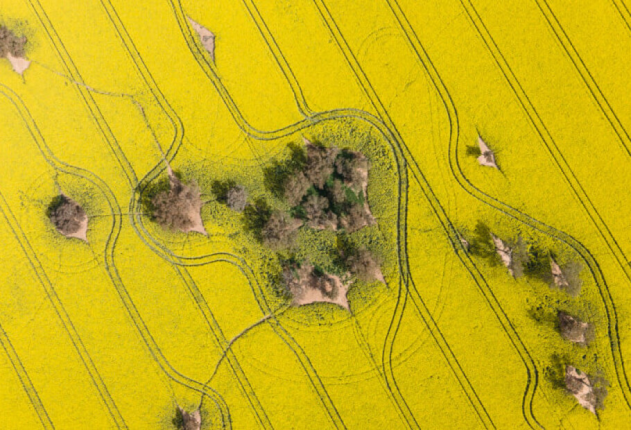 These Eye-Catching Satellite Images Show the Rare Side of Iconic Places