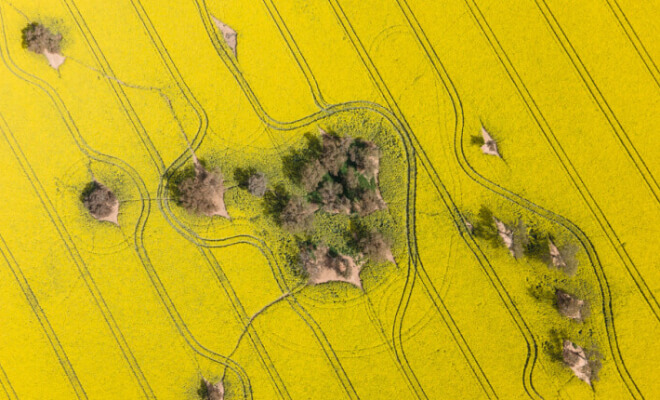 These Eye-Catching Satellite Images Show the Rare Side of Iconic Places