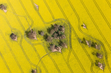 These Eye-Catching Satellite Images Show the Rare Side of Iconic Places