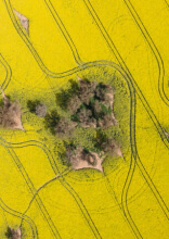 These Eye-Catching Satellite Images Show the Rare Side of Iconic Places