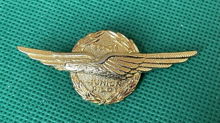 Souvenir Wings for Children