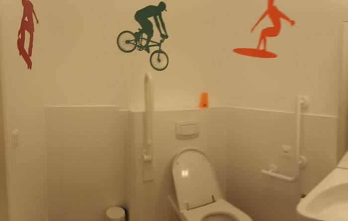 Not The Right Decoration for Disabled Toilet