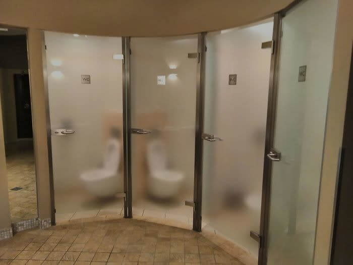 Awkward Semi-Transparent Bathroom Stall Doors