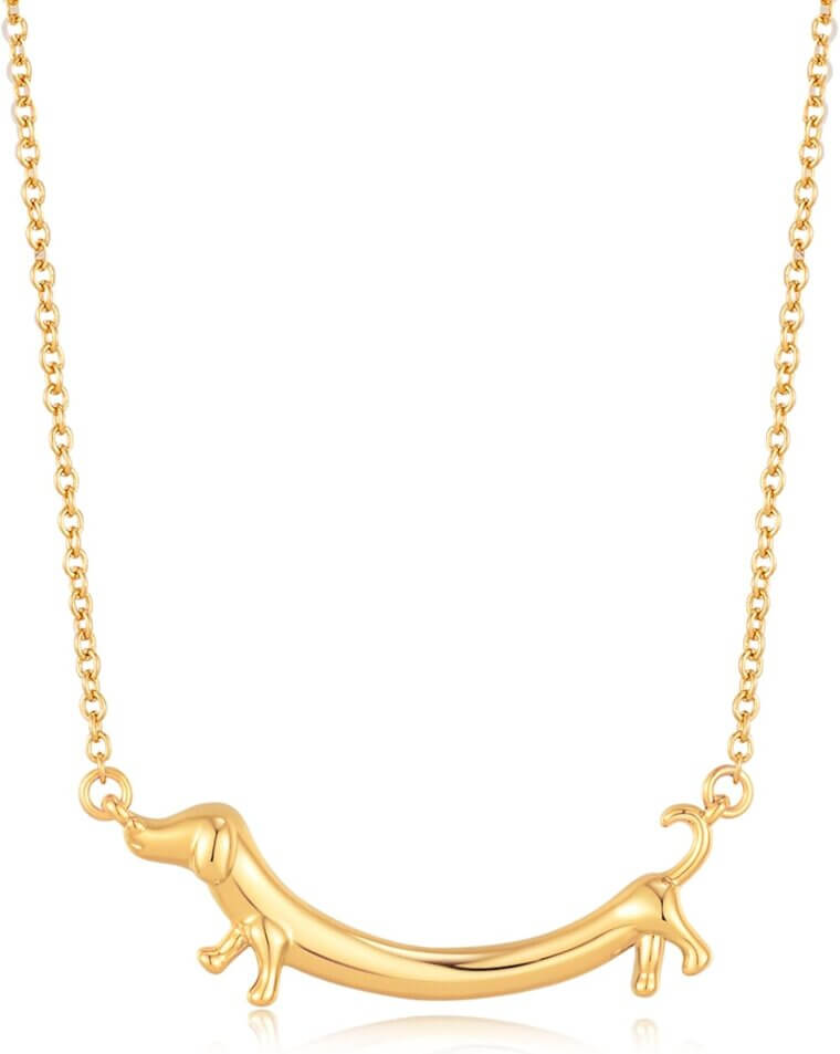 Dachshund Necklace - Celebrate Friendship with Adorable Jewelry 