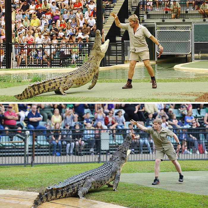 Same Place, Same Croc, 15 Years Apart
