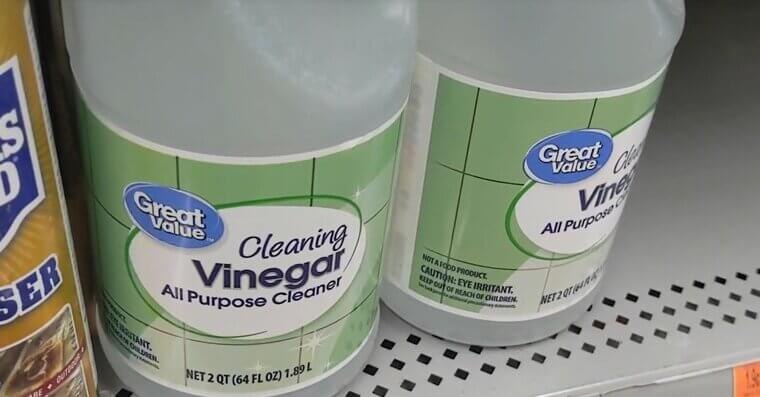 Vinegar and Chlorine-Based Disinfectants