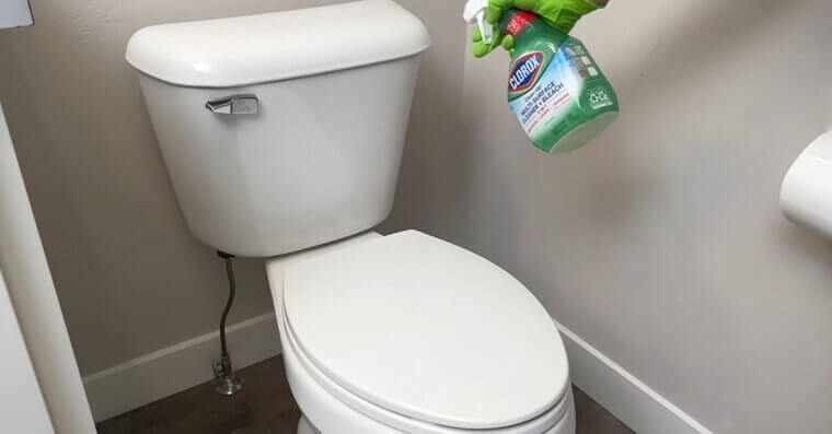 Bleach and Toilet Bowl Cleaner