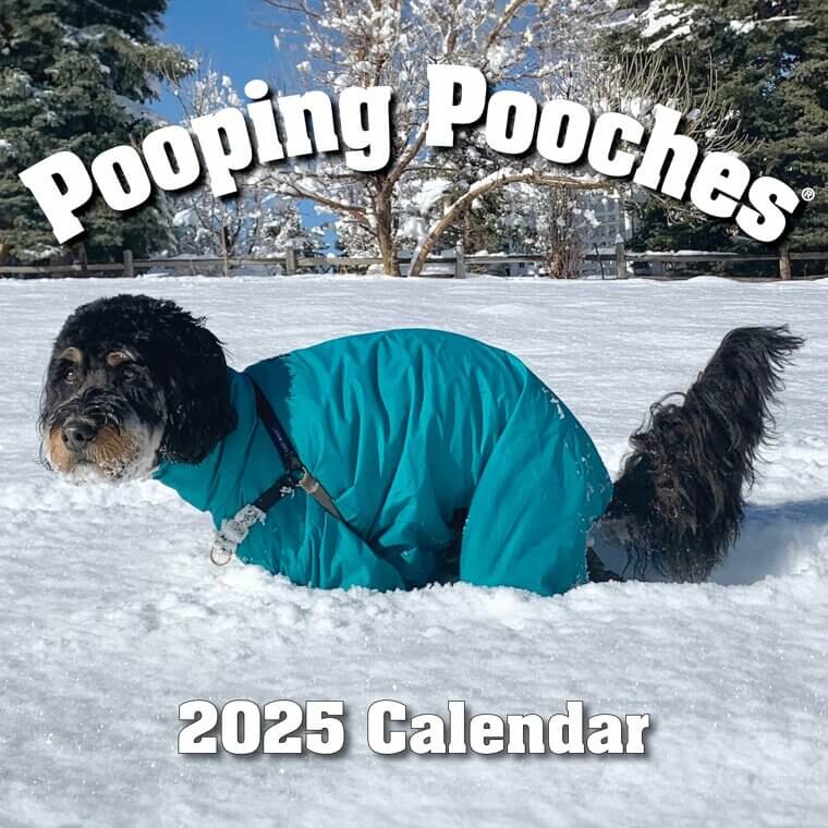 Pooping Dogs Calendar - The Funniest White Elephant Gift!