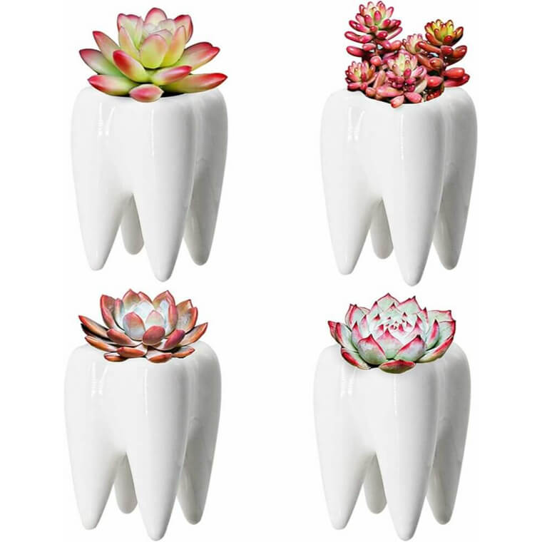 Teeth Pots Ceramic Planters for Dental Office Decor - Fun & Unique Gift! - Now 6% Off!