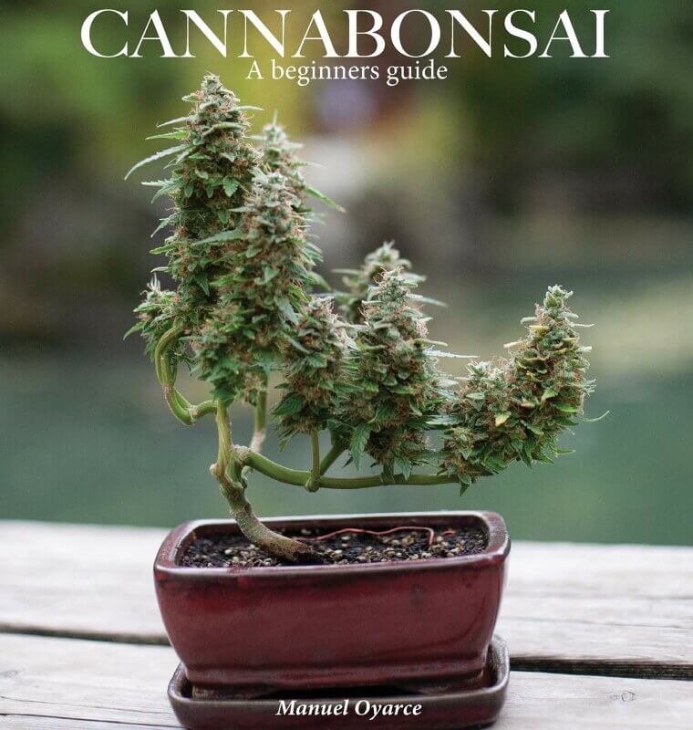 Cannabonsai Guide: Create Your Own Bonsai-Inspired Cannabis -