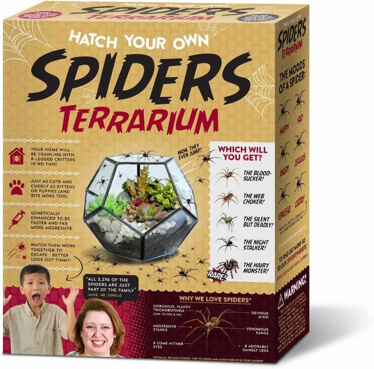 Spider Terrarium Prank Box - Hilarious Gag Gift for Every Occasion