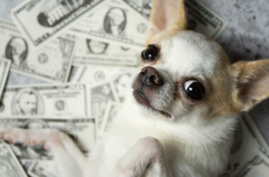 Funny and Accurate Money Memes That Speak The Financial Truth