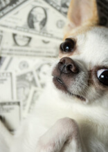 Funny and Accurate Money Memes That Speak The Financial Truth