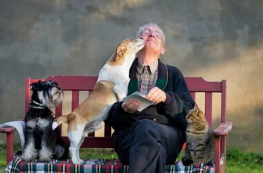 5 Reasons Animals Age Faster Than Humans