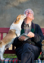 5 Reasons Animals Age Faster Than Humans