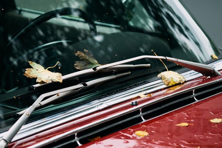 Replace Windshield Wipers