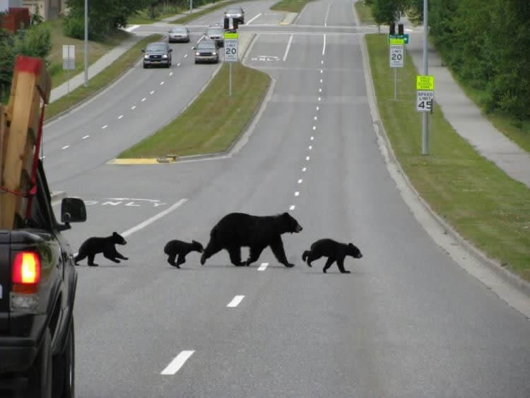 Alaska