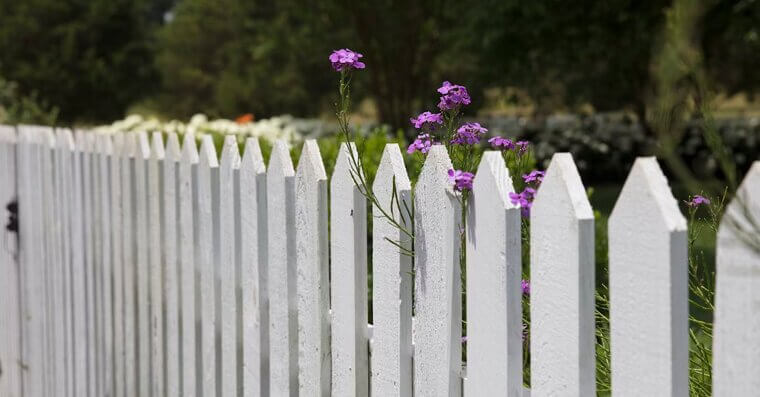 Cheap Fencing