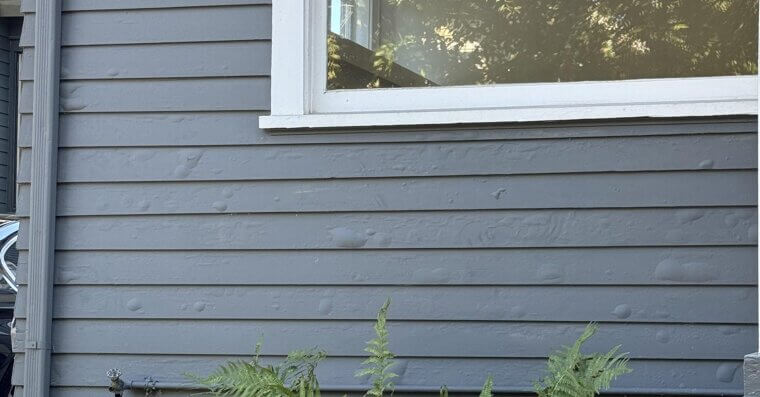 Cheap Exterior Paint